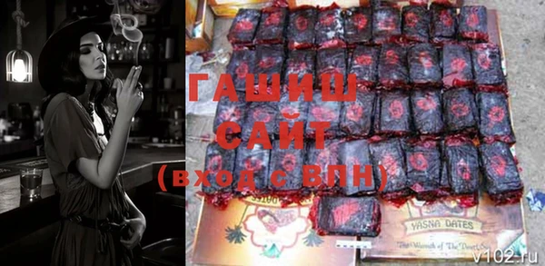 стафф Касимов